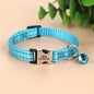 Katzenhalsband personalisierbarpen