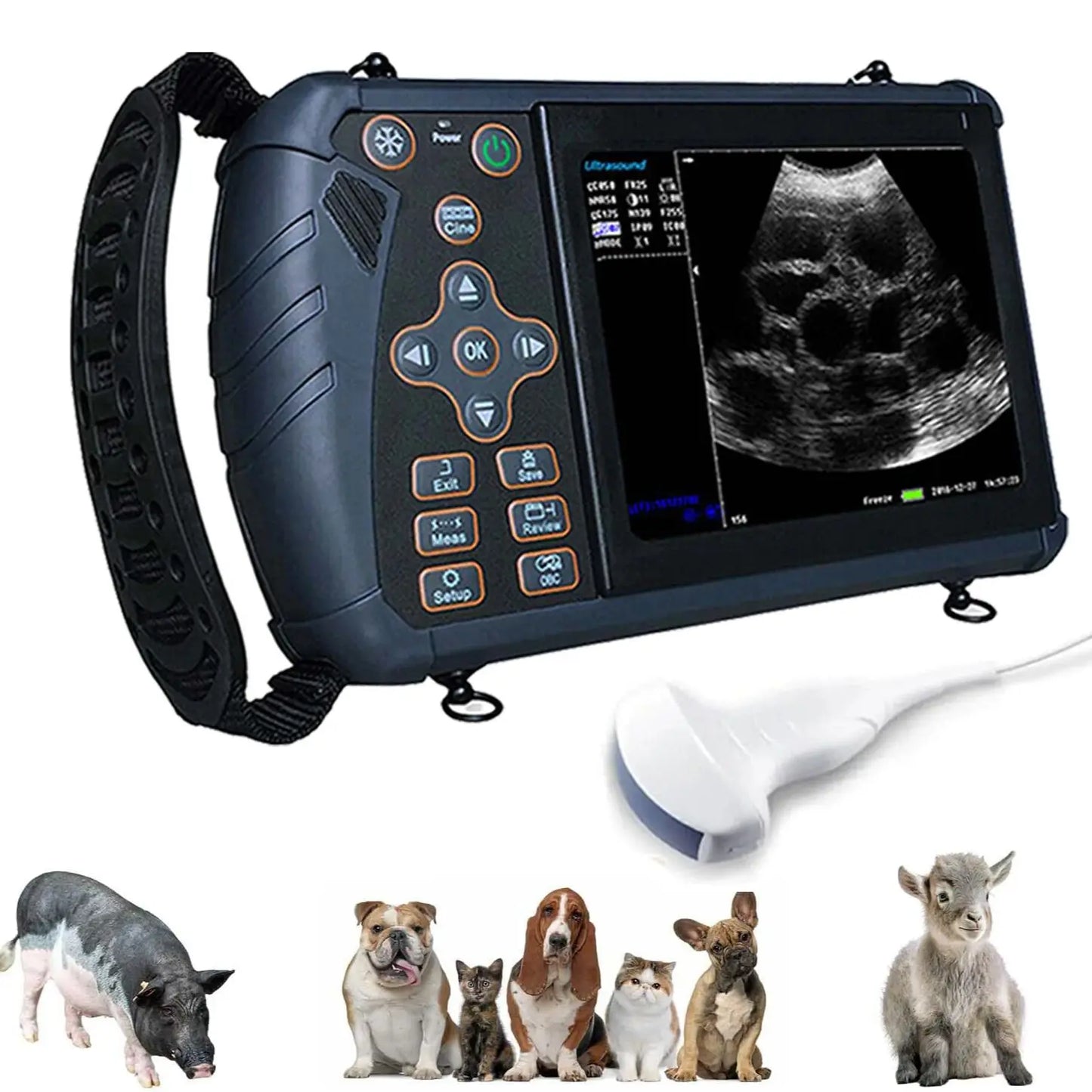 Tragbarer Veterinär-Ultraschallscanner, Tierarzt-Schwangerschaftskontrolle, tragbare Ultra-Maschine, für Schwein, Schaf, Kuh, Pferd, Hund, Katze